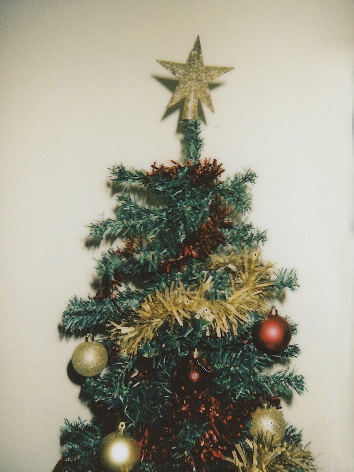 photo of christmas tree